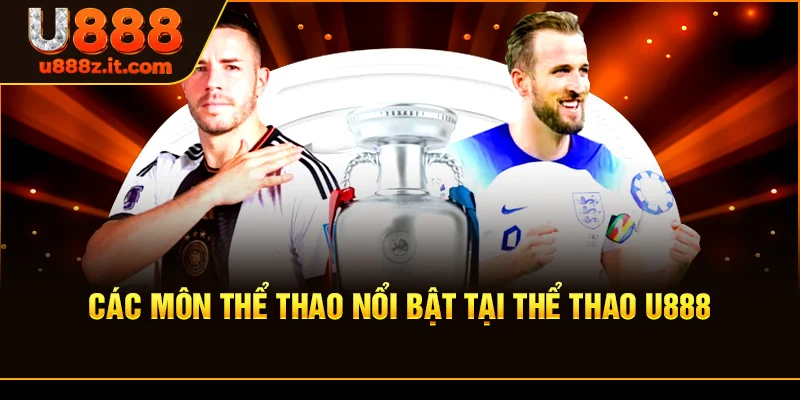 Các Môn Thể Thao Nổi Bật Tại Thể thao U888