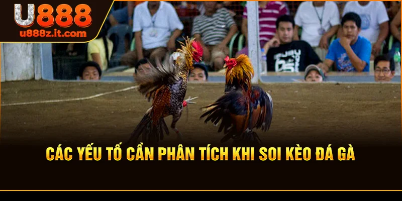 Các Yếu Tố Cần Phân Tích Khi Soi kèo đá gà