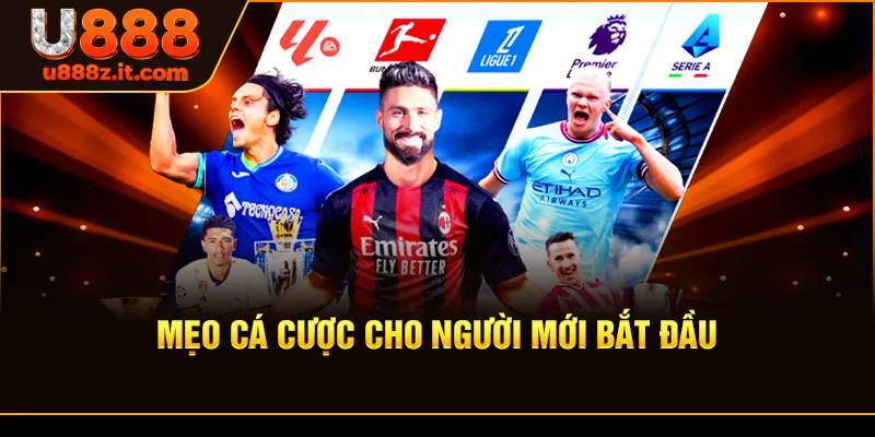 Mẹo Cá Cược - Bí Quyết Tăng Tỷ Lệ Thắng