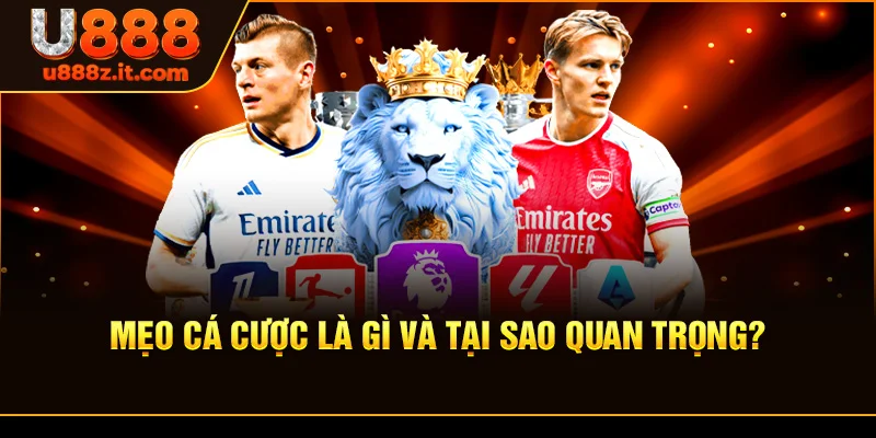 Mẹo Cá Cược Là Gì Và Tại Sao Quan Trọng?