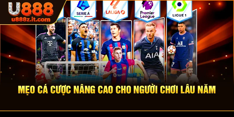 Mẹo Cá Cược Nâng Cao Cho Người Chơi Lâu Năm