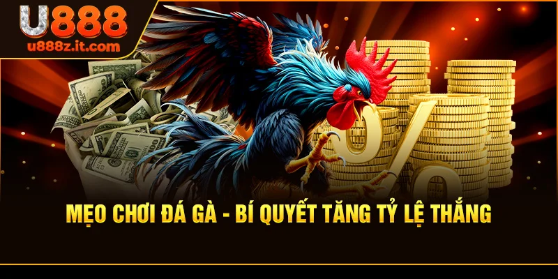 Mẹo Chơi Đá Gà - Bí Quyết Tăng Tỷ Lệ Thắng