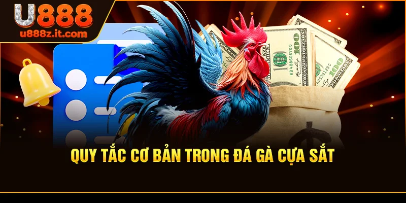 Quy Tắc Cơ Bản Trong Đá Gà Cựa Sắt
