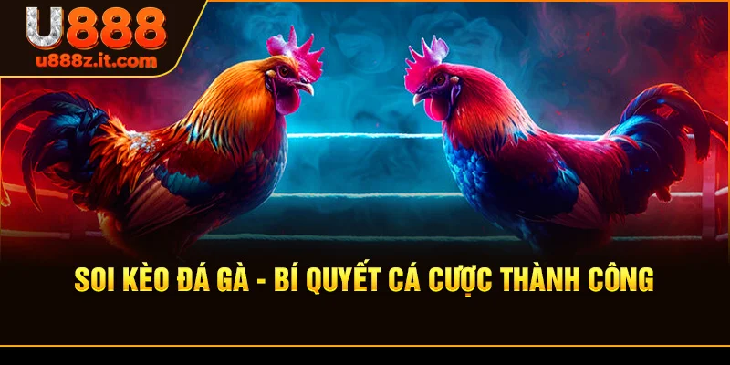 Soi kèo đá gà - Bí Quyết Cá Cược Thành Công