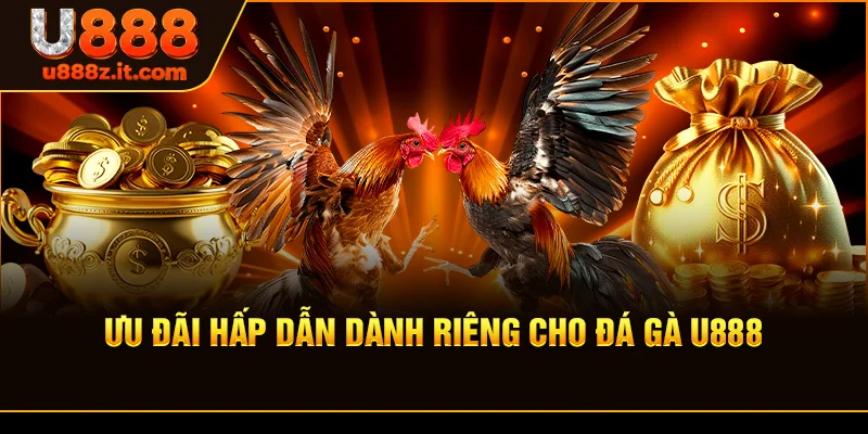 Tham Gia Đá gà U888 – Nhanh Chóng Và Tiện Lợi