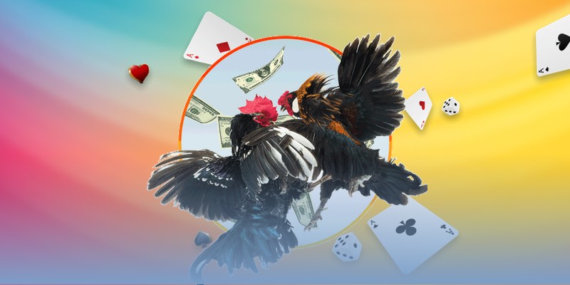 Giá Trị Cốt Lõi Của Sảnh Đá Gà Thomo Trong Hệ Sinh Thái U888